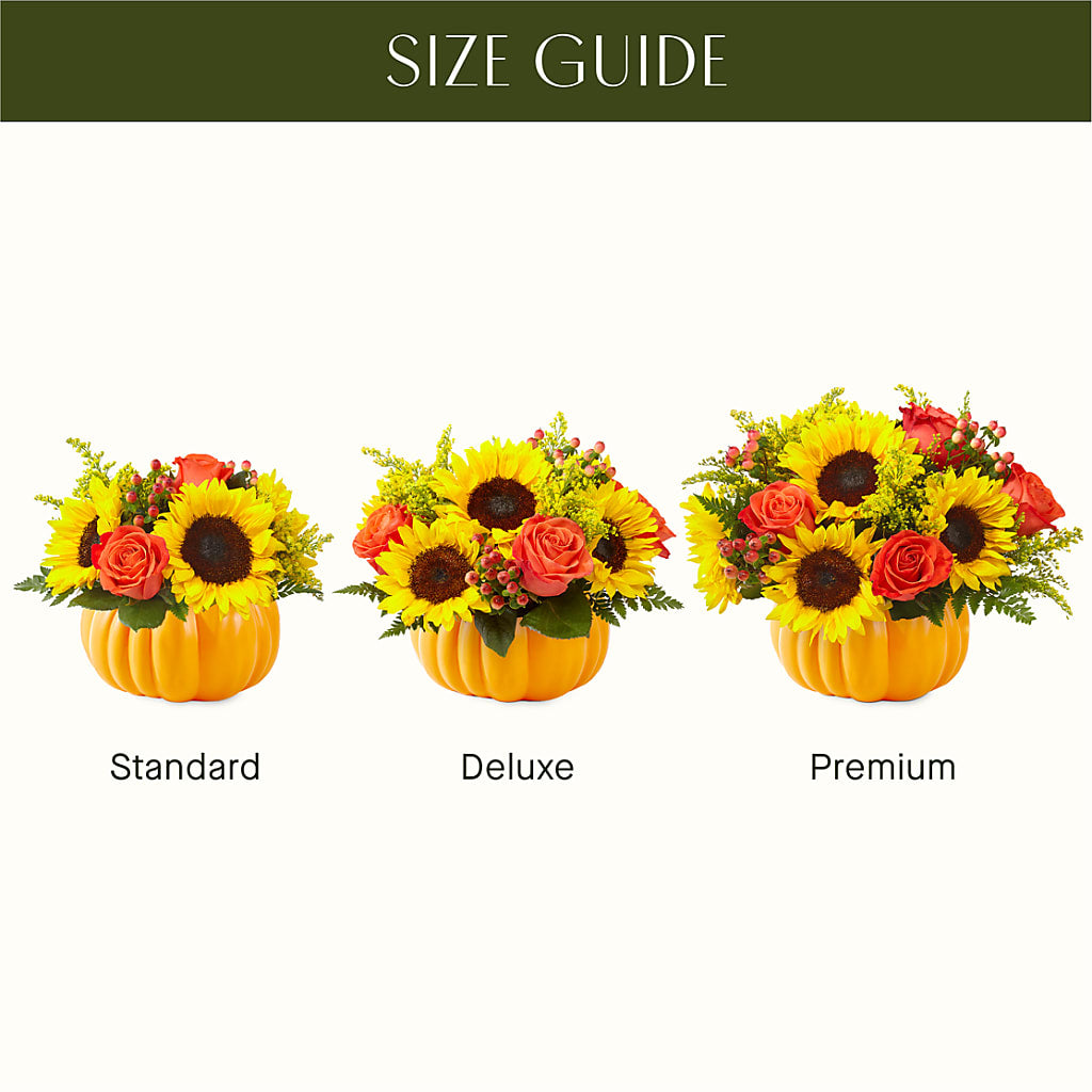 Pick of the Patch Pumpkin Bouquet – Bloom Studio Llc, Indianapolis IN
