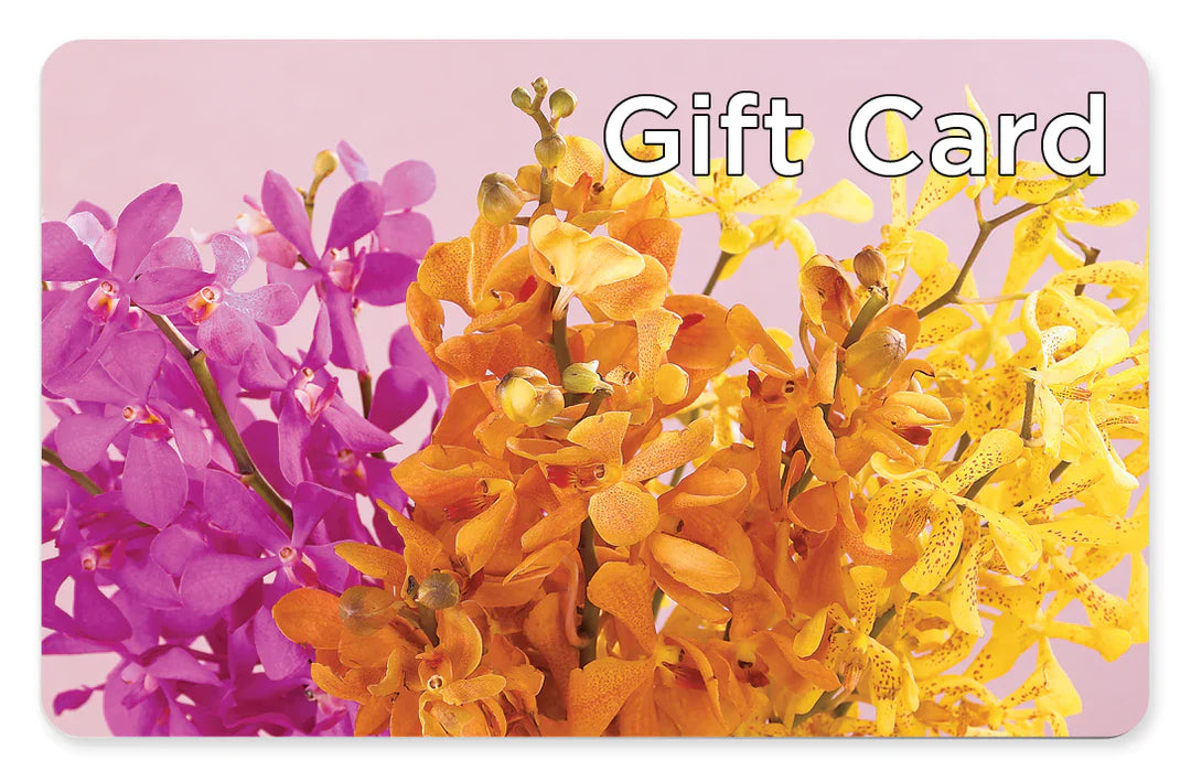 Gift Card – Bloom Studio Llc, Indianapolis IN