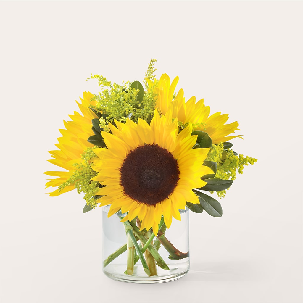 Beaming Sunflower Bouquet – Bloom Studio Llc, Indianapolis IN