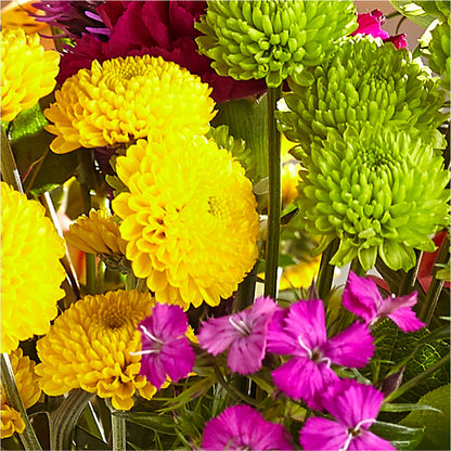 Bold & Bright – A Florist Original –  Bloom Studio Llc, Indianapolis IN