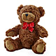 Adorable Plush Bear –  Bloom Studio Llc, Indianapolis IN