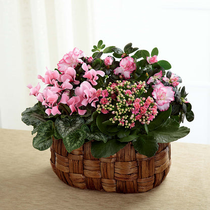 Pink Assortment –  Bloom Studio Llc, Indianapolis IN