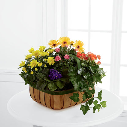 Gentle Blossoms Basket –  Bloom Studio Llc, Indianapolis IN