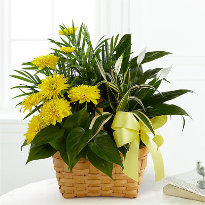 Loving Light Dishgarden –  Bloom Studio Llc, Indianapolis IN