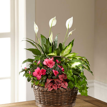 Dream in Pink Dishgarden –  Bloom Studio Llc, Indianapolis IN