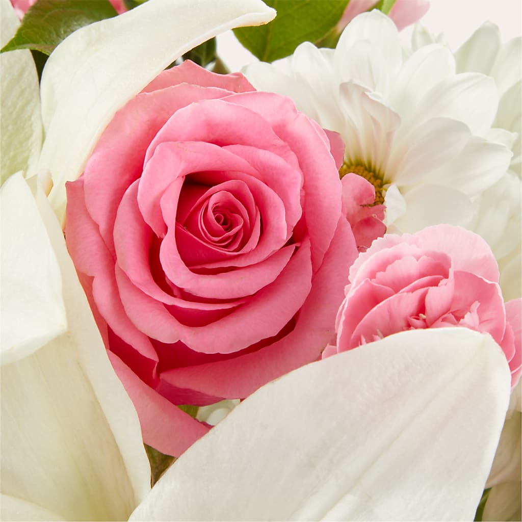 Whispers of Comfort Bouquet –  Bloom Studio Llc, Indianapolis IN