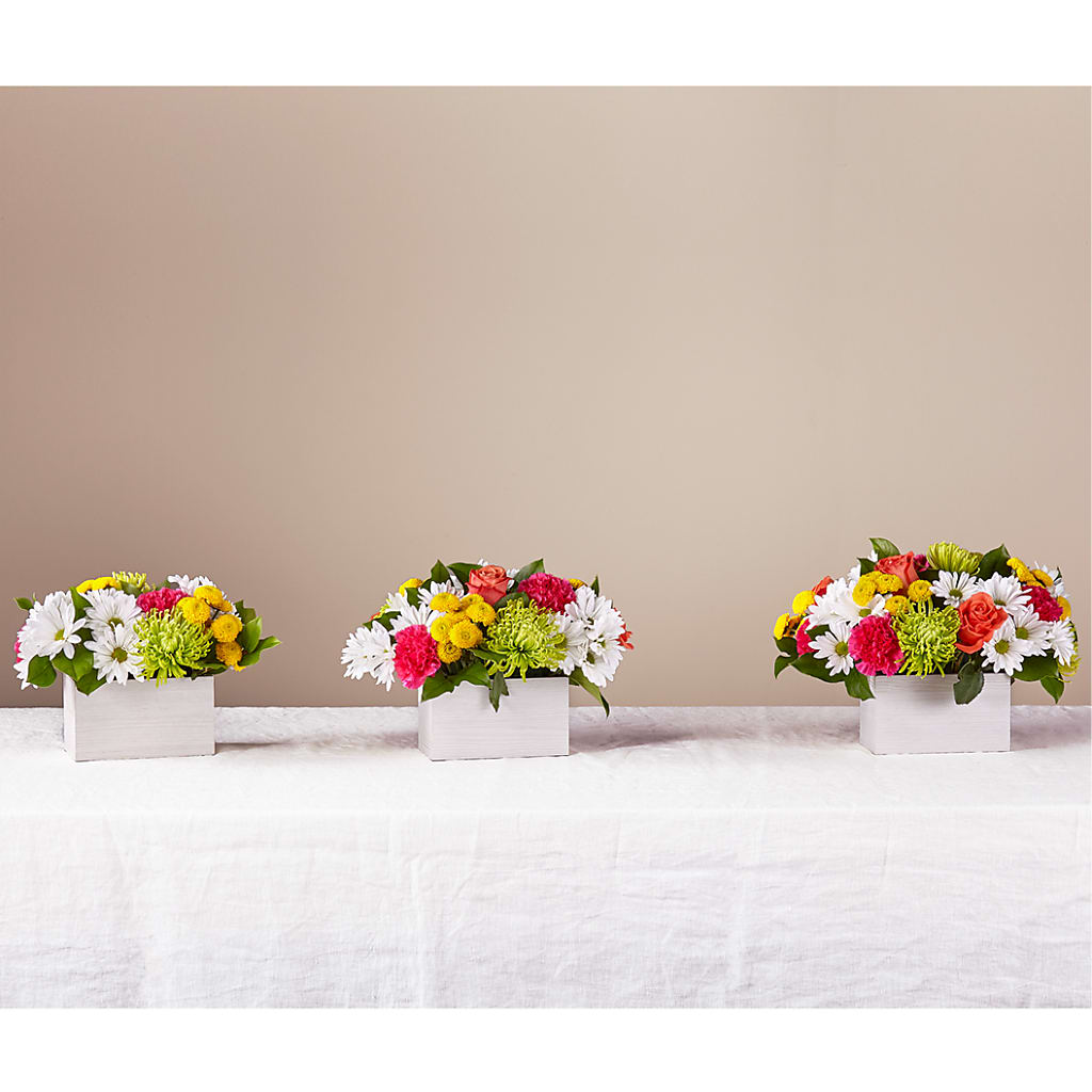 Sorbet Bouquet –  Bloom Studio Llc, Indianapolis IN