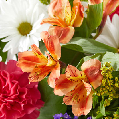 Oopsie Daisy Box Bouquet –  Bloom Studio Llc, Indianapolis IN
