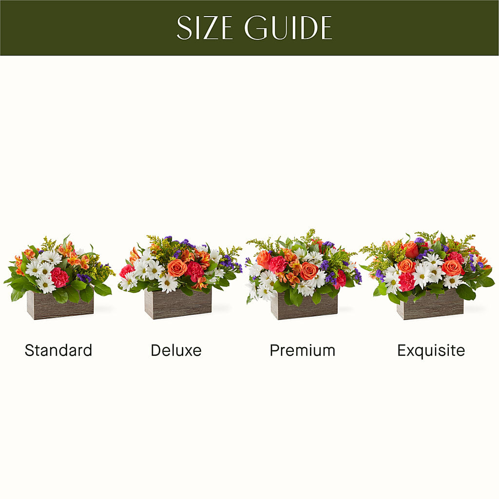 Oopsie Daisy Box Bouquet –  Bloom Studio Llc, Indianapolis IN