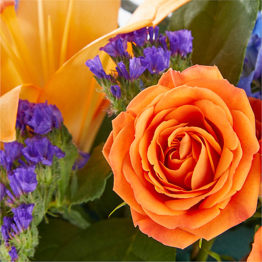 Radiant Citrus Box Bouquet –  Bloom Studio Llc, Indianapolis IN