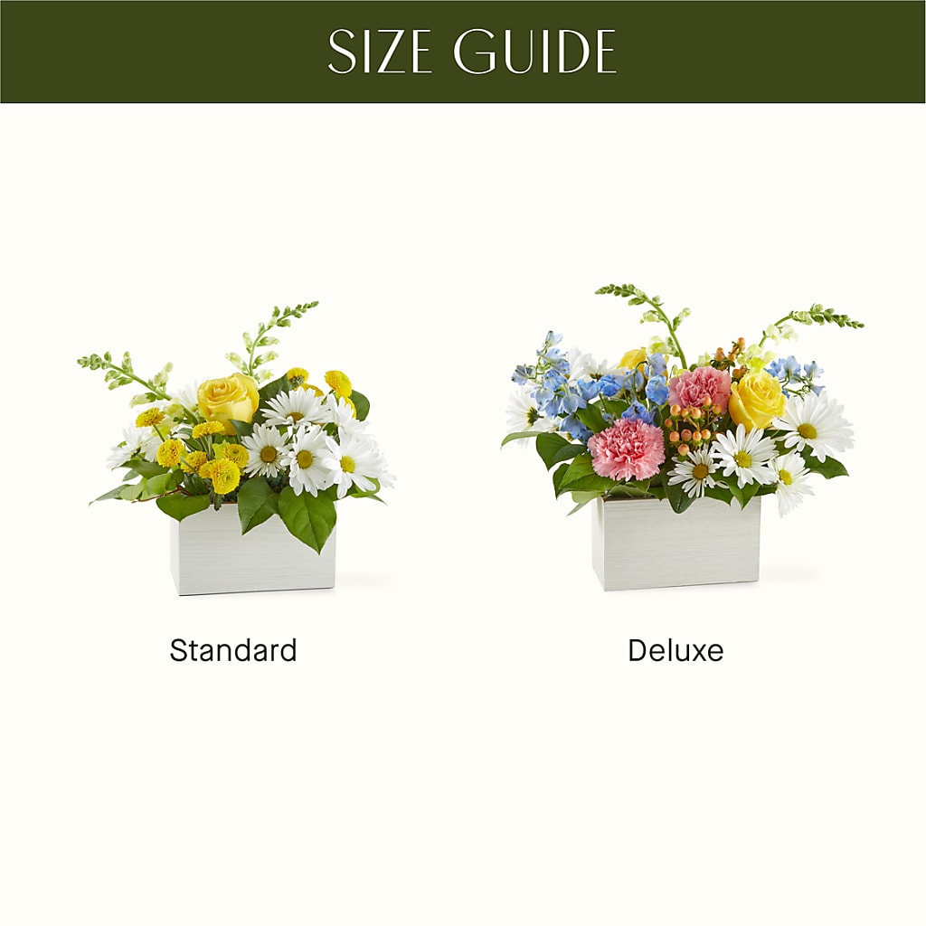 Sun Salutation Box Bouquet –  Bloom Studio Llc, Indianapolis IN