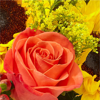 Pick of the Patch Pumpkin Bouquet –  Bloom Studio Llc, Indianapolis IN