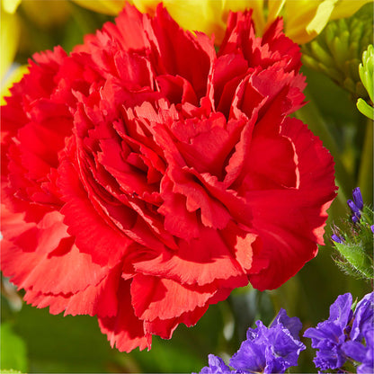 Brighter Days Bouquet –  Bloom Studio Llc, Indianapolis IN