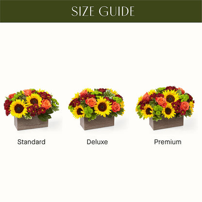 Happy Harvest Garden –  Bloom Studio Llc, Indianapolis IN