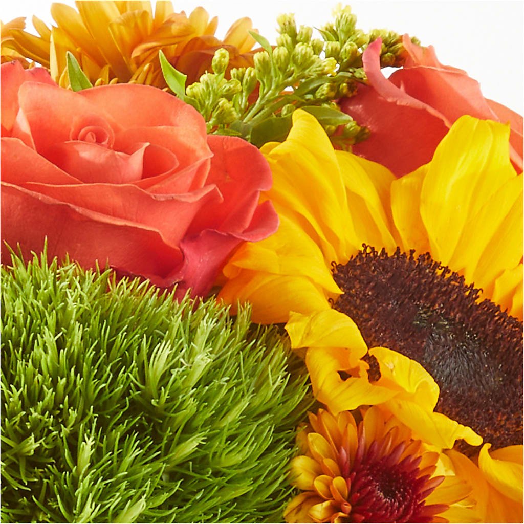 Farmer’s Market Stroll Bouquet –  Bloom Studio Llc, Indianapolis IN