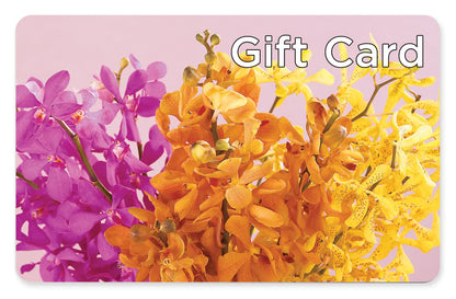 Gift Card –  Bloom Studio Llc, Indianapolis IN