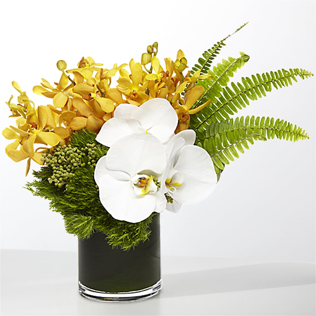 The Tropics –  Bloom Studio Llc, Indianapolis IN