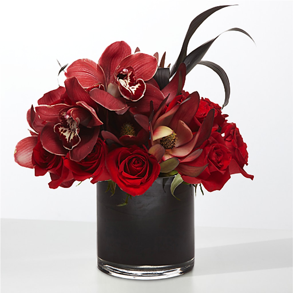 The Eclipse –  Bloom Studio Llc, Indianapolis IN