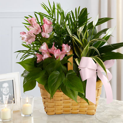 Living Spirit Dishgarden –  Bloom Studio Llc, Indianapolis IN