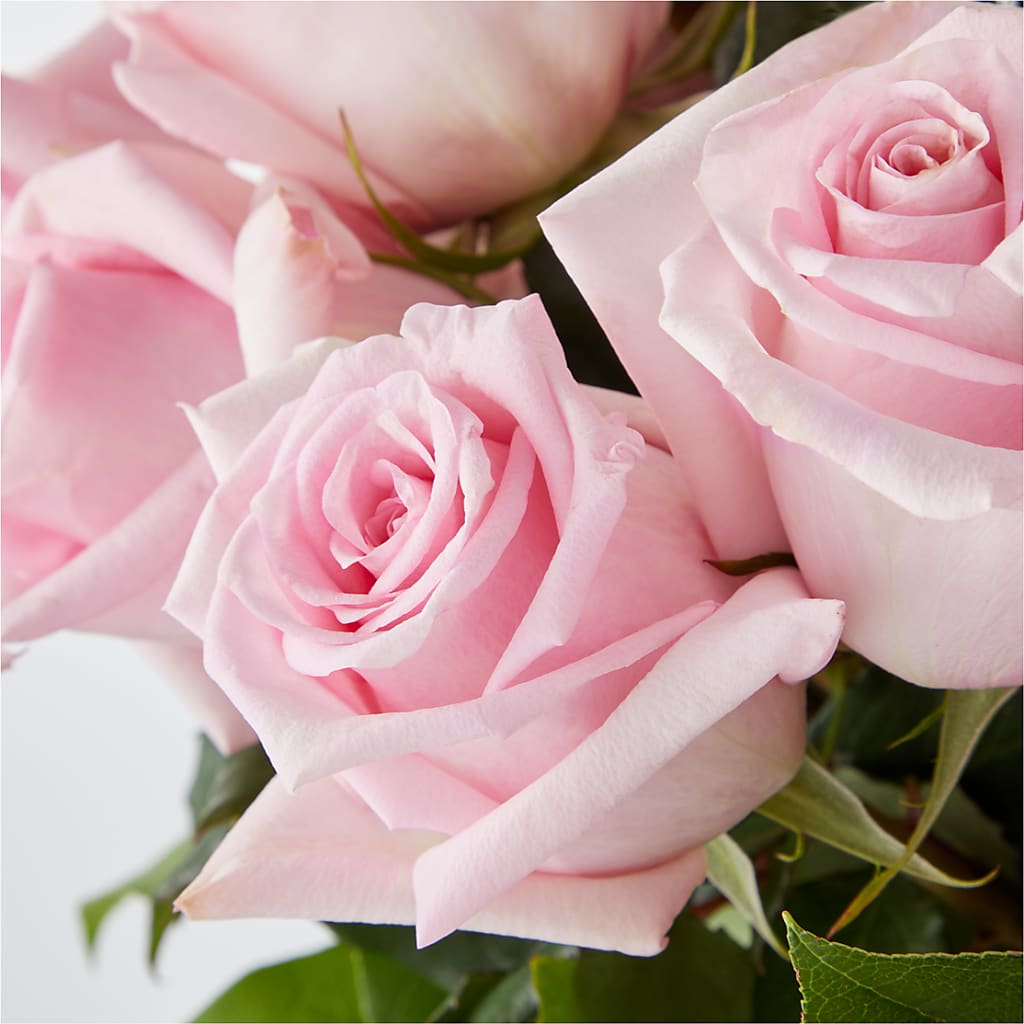 Picture Perfect Pink Rose Bouquet –  Bloom Studio Llc, Indianapolis IN