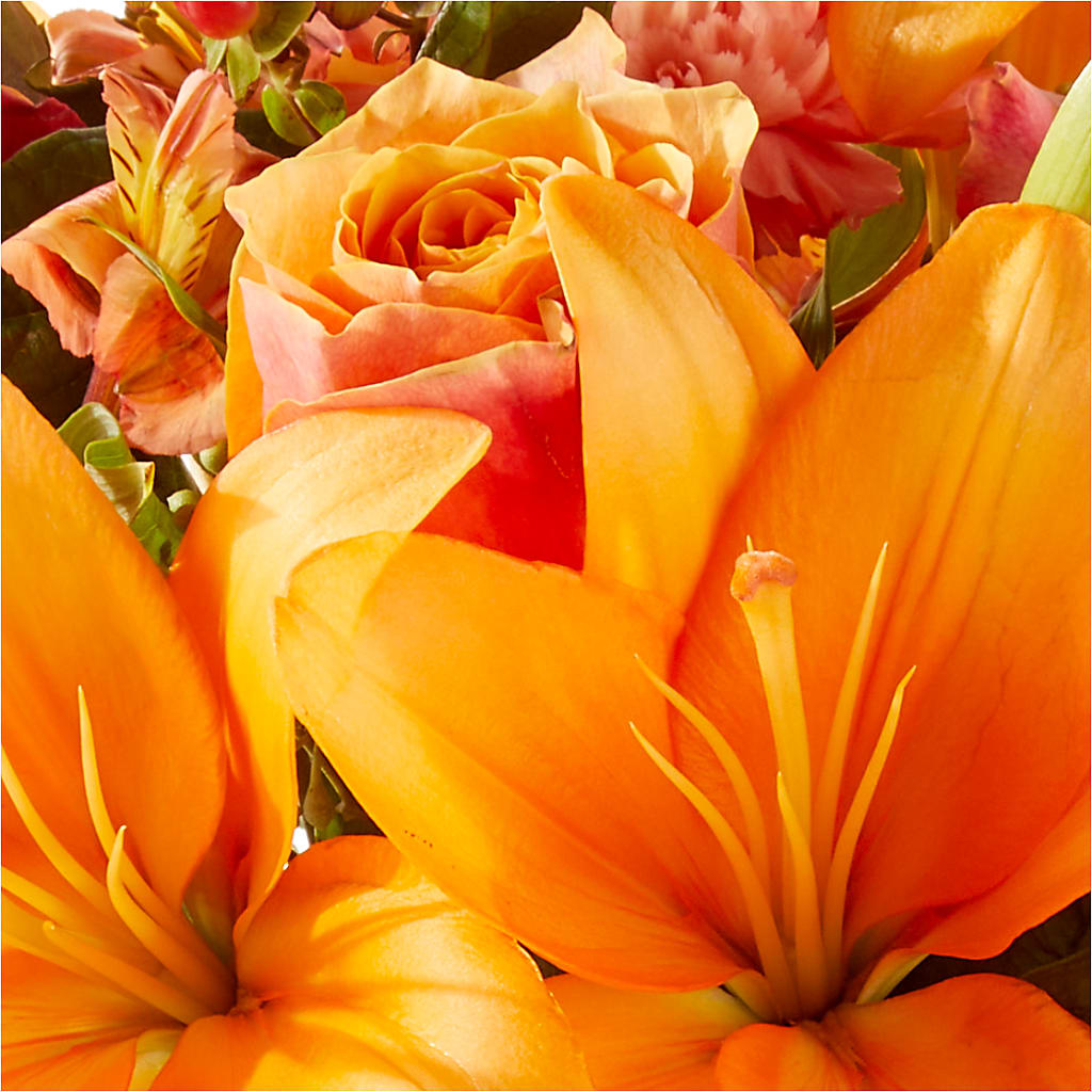 Afternoon Light Bouquet –  Bloom Studio Llc, Indianapolis IN