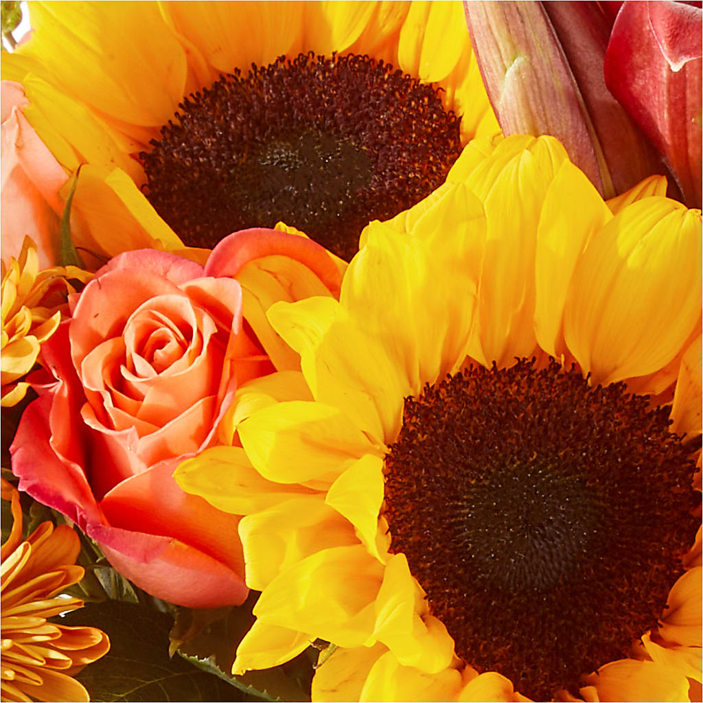Acorn Lane Bouquet –  Bloom Studio Llc, Indianapolis IN