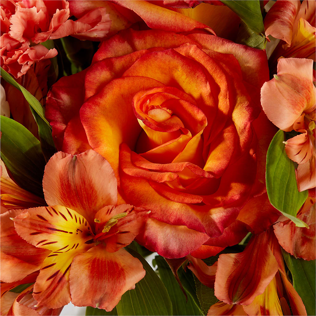 Apricot Glow Bouquet –  Bloom Studio Llc, Indianapolis IN