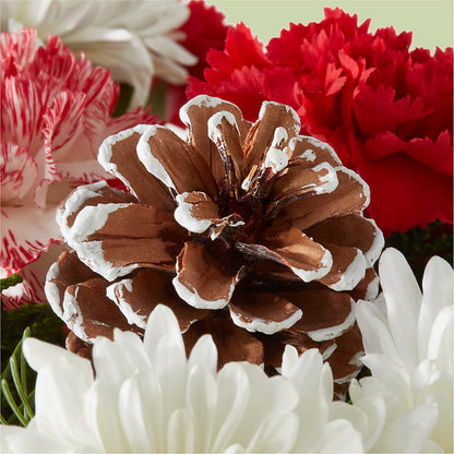 Candy Cane Lane Bouquet –  Bloom Studio Llc, Indianapolis IN