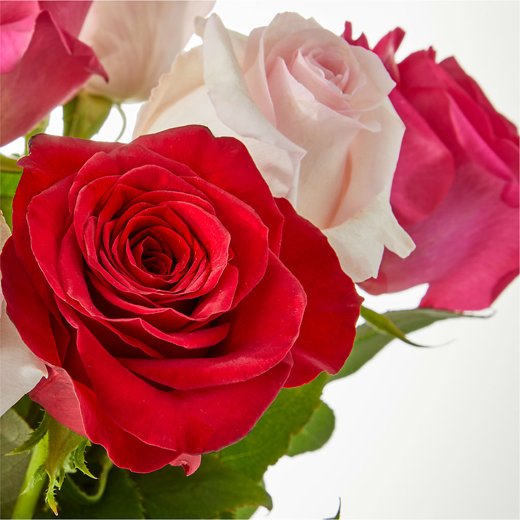 Charming Rose Bouquet –  Bloom Studio Llc, Indianapolis IN