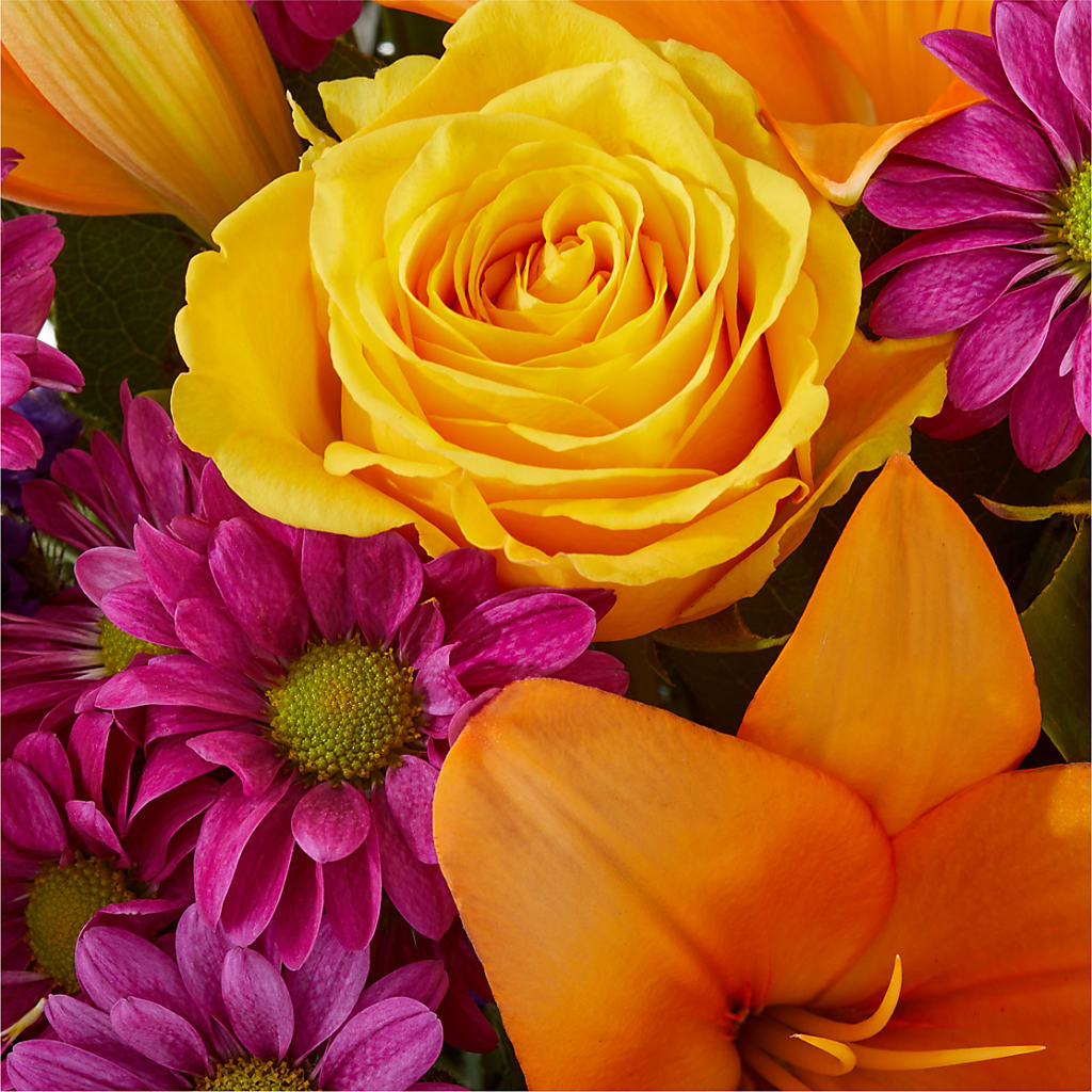Colorful Visions Bouquet –  Bloom Studio Llc, Indianapolis IN