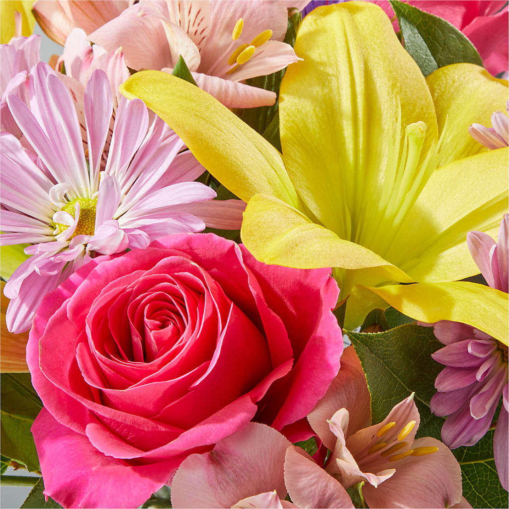 Sprinkles Bouquet –  Bloom Studio Llc, Indianapolis IN
