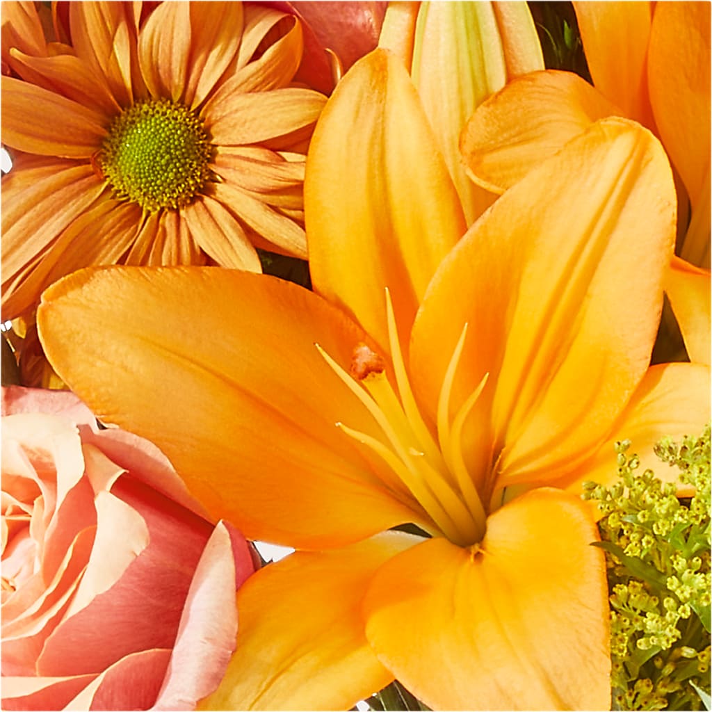 Harvest Hayride Bouquet –  Bloom Studio Llc, Indianapolis IN