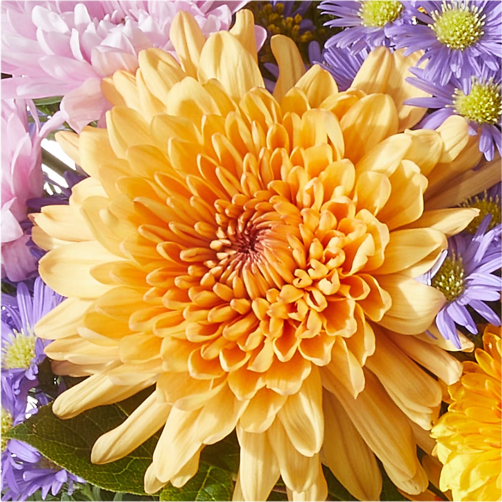 Countryside Bouquet –  Bloom Studio Llc, Indianapolis IN
