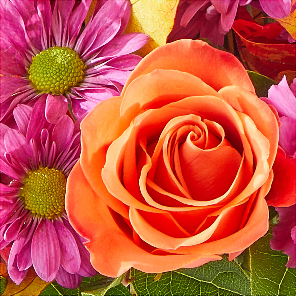 Mum's the Word Bouquet –  Bloom Studio Llc, Indianapolis IN