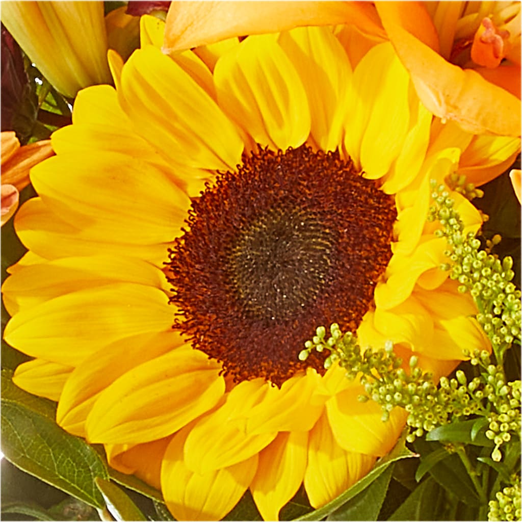 Seasons Change Bouquet –  Bloom Studio Llc, Indianapolis IN