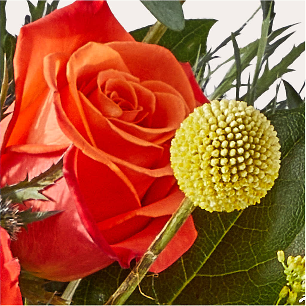 Disco Bouquet –  Bloom Studio Llc, Indianapolis IN