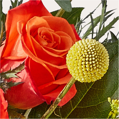 Disco Bouquet –  Bloom Studio Llc, Indianapolis IN