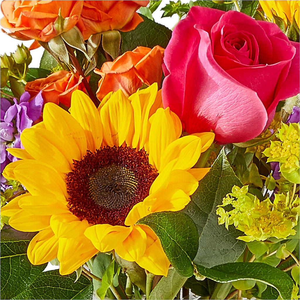 Vibrant Greetings Bouquet –  Bloom Studio Llc, Indianapolis IN