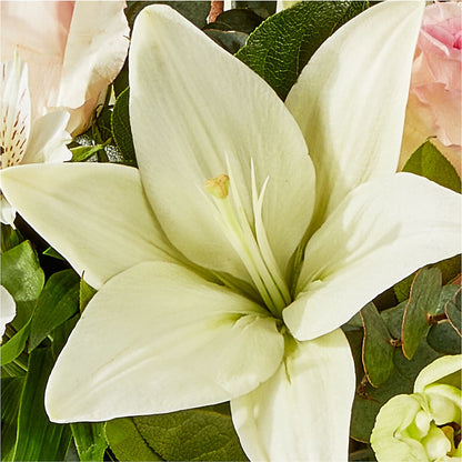 Ballet Slippers Bouquet –  Bloom Studio Llc, Indianapolis IN