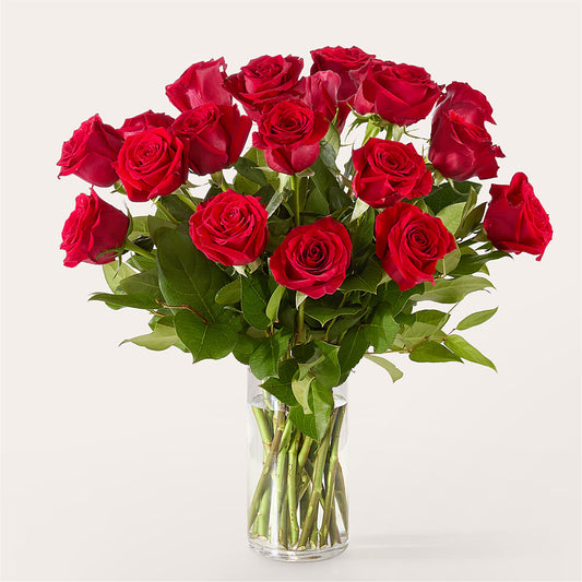 The One Red Rose Bouquet –  Bloom Studio Llc, Indianapolis IN