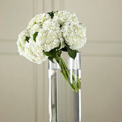 White Hydrangea Hand-Tied Bouquet –  Bloom Studio Llc, Indianapolis IN